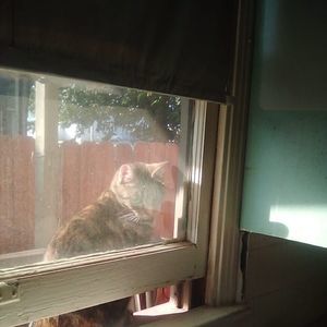 Meet your Posher, Leslie